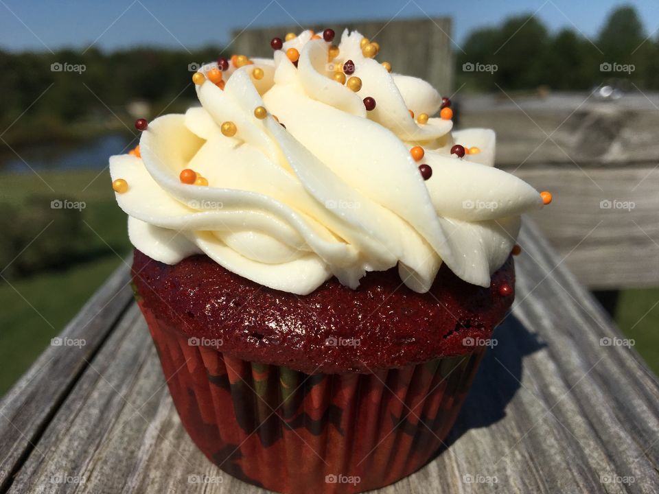 Red Velvet Cupcakes with Buttercream Icing 