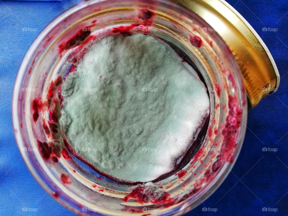 Jar of jam full of mold