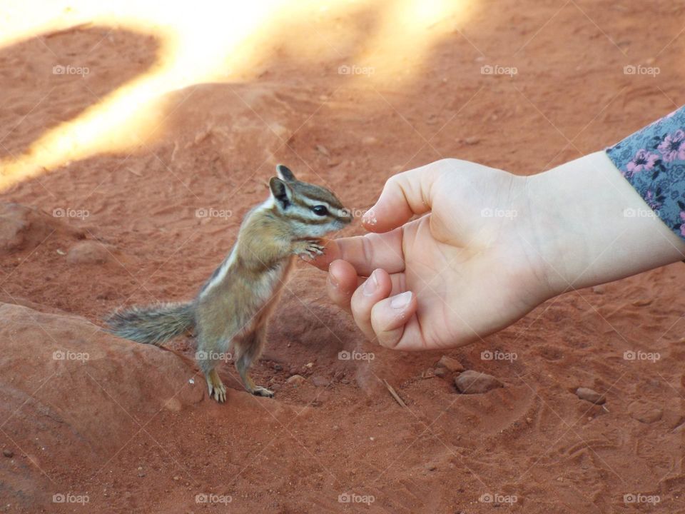 Nature’s awesome 😎