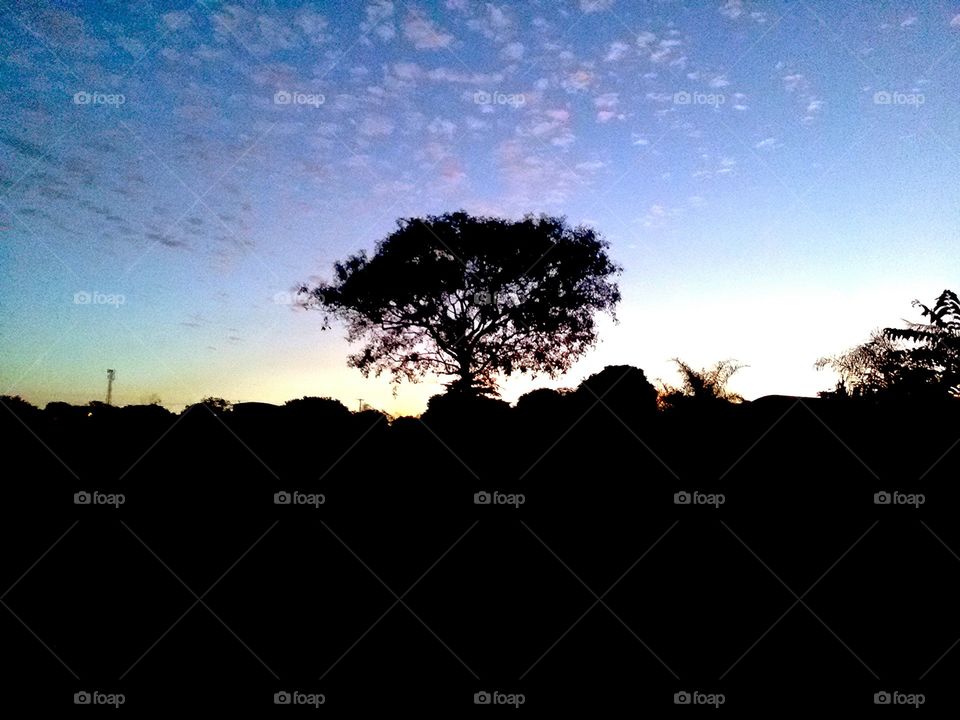 Brazilian Sky Season Series - any way