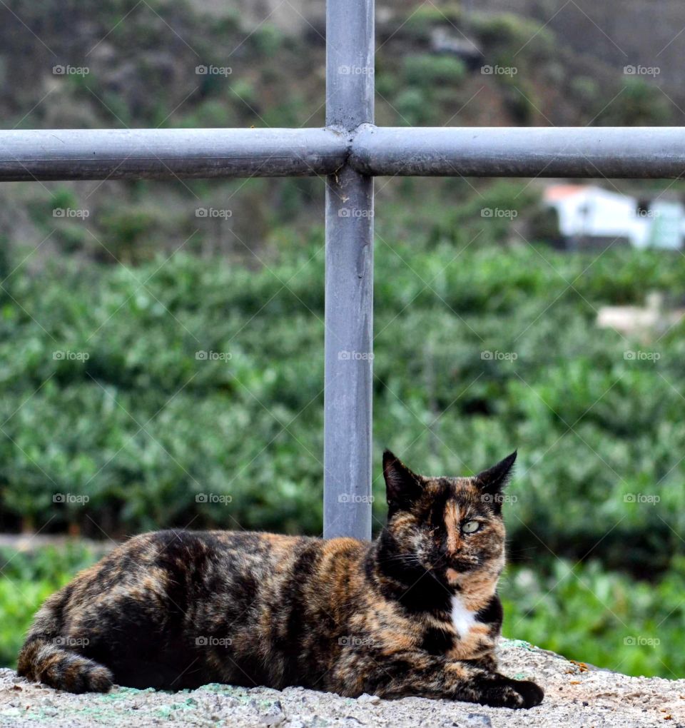 Light has need of darkness.