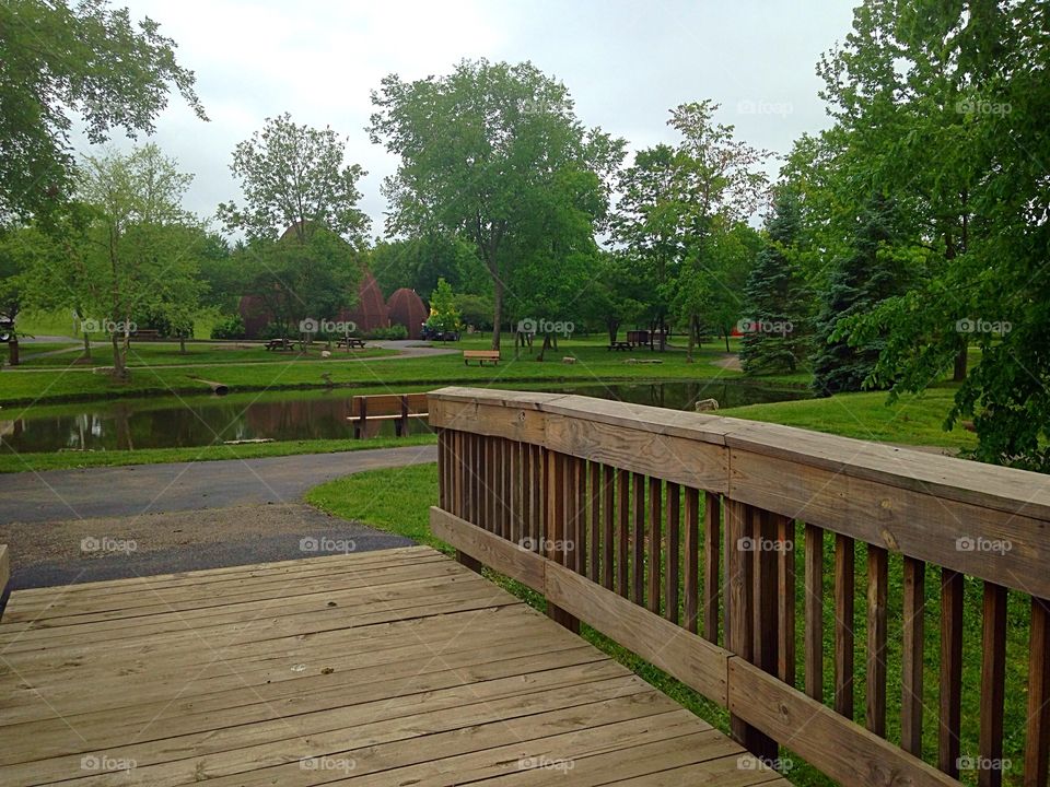 Bridge to a pond. Bridge on a walking path