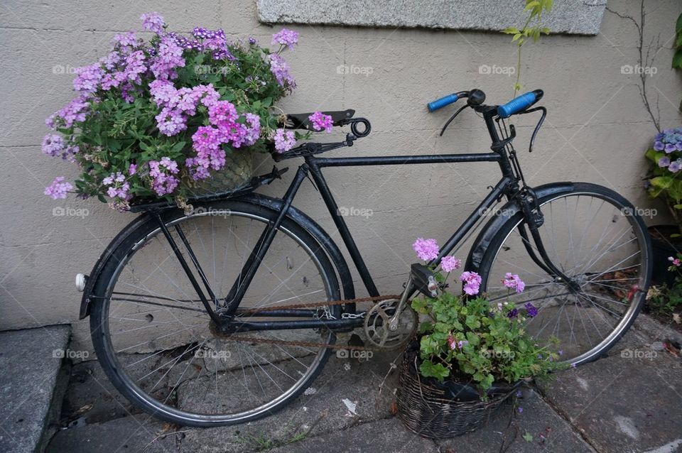 Nice old bike 