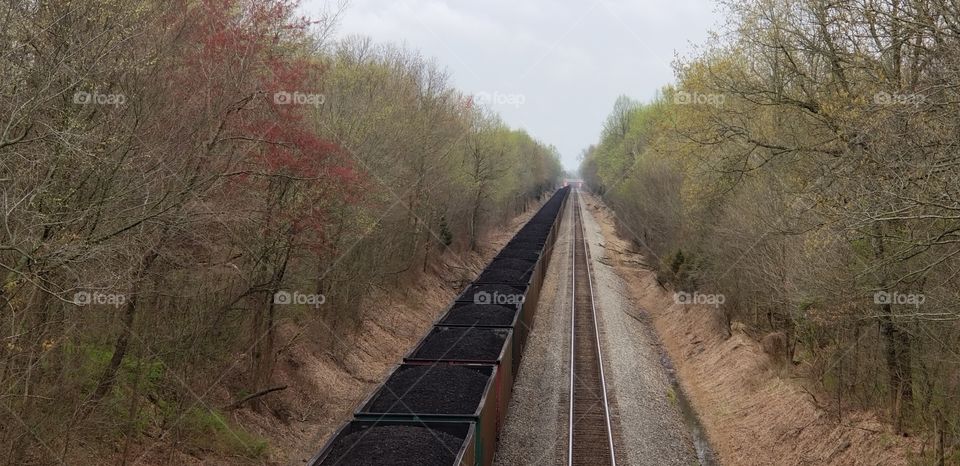 Coal Train and Trees