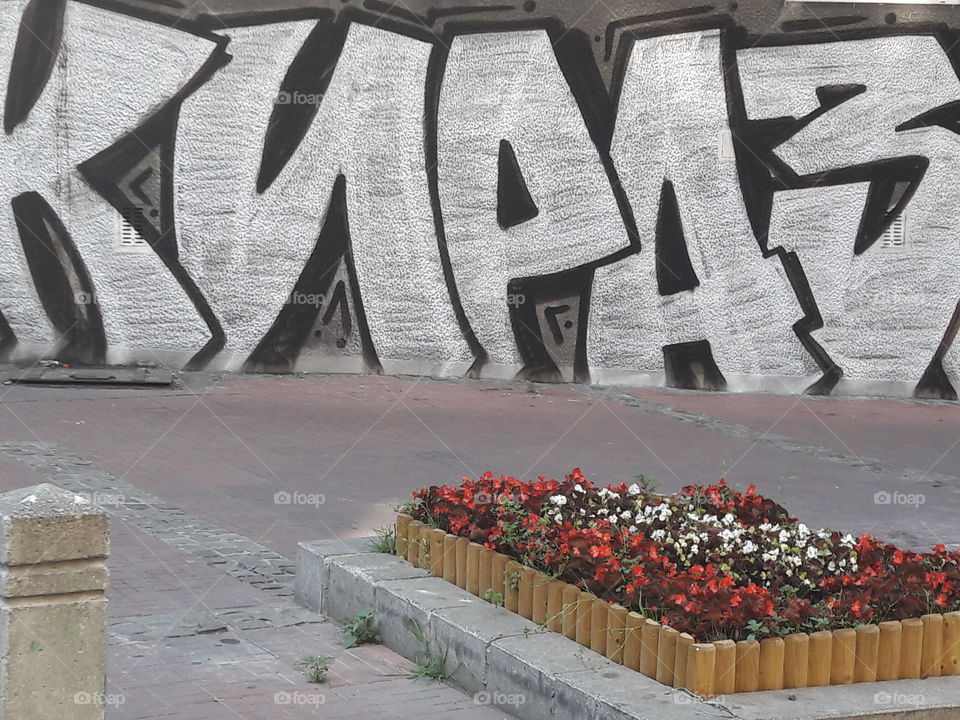 Grafit and Flowers in the Street