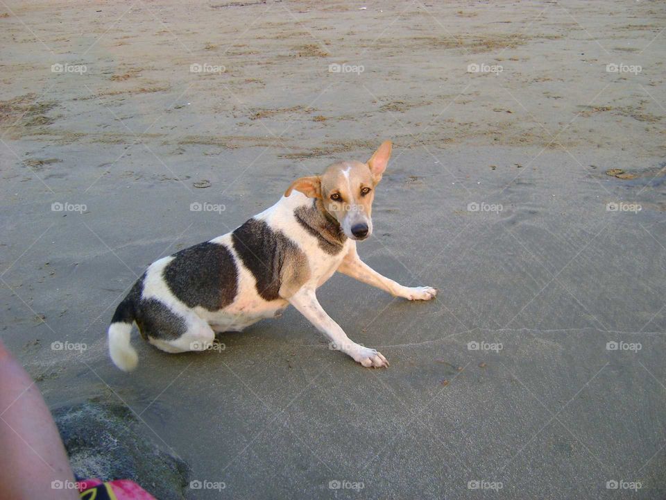 On the beach