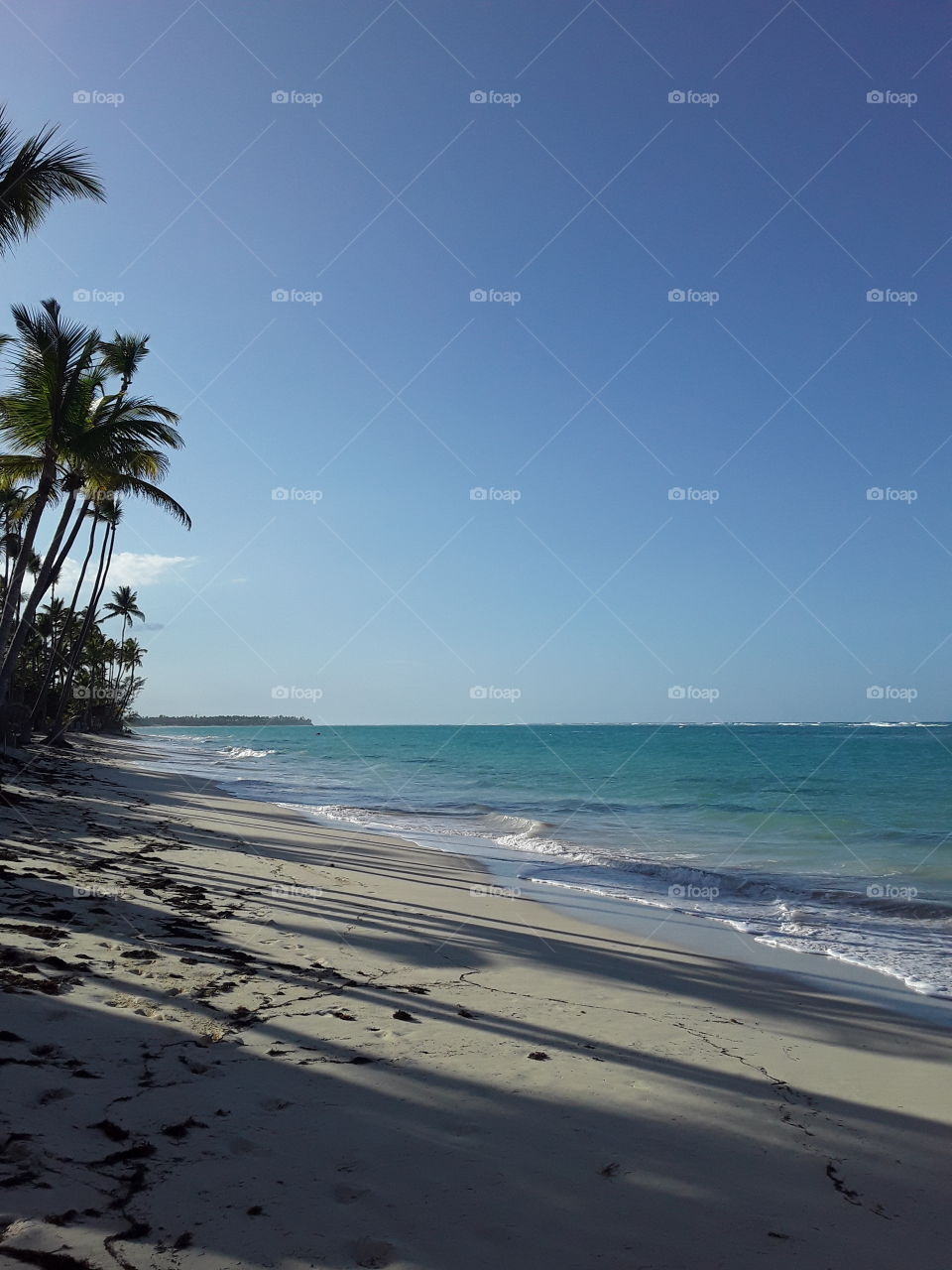 Dominican Republic even in isolation is beautiful evening by the ocean long shadows of palm trees give a special mood