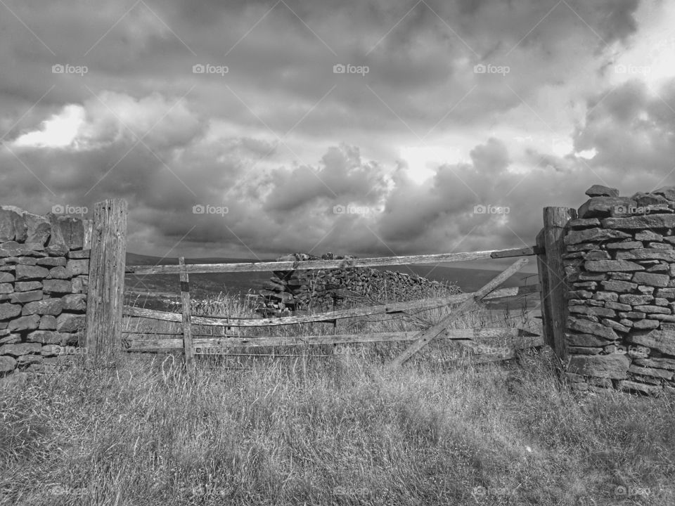 Monochrome, Landscape, No Person, Fence, Grass