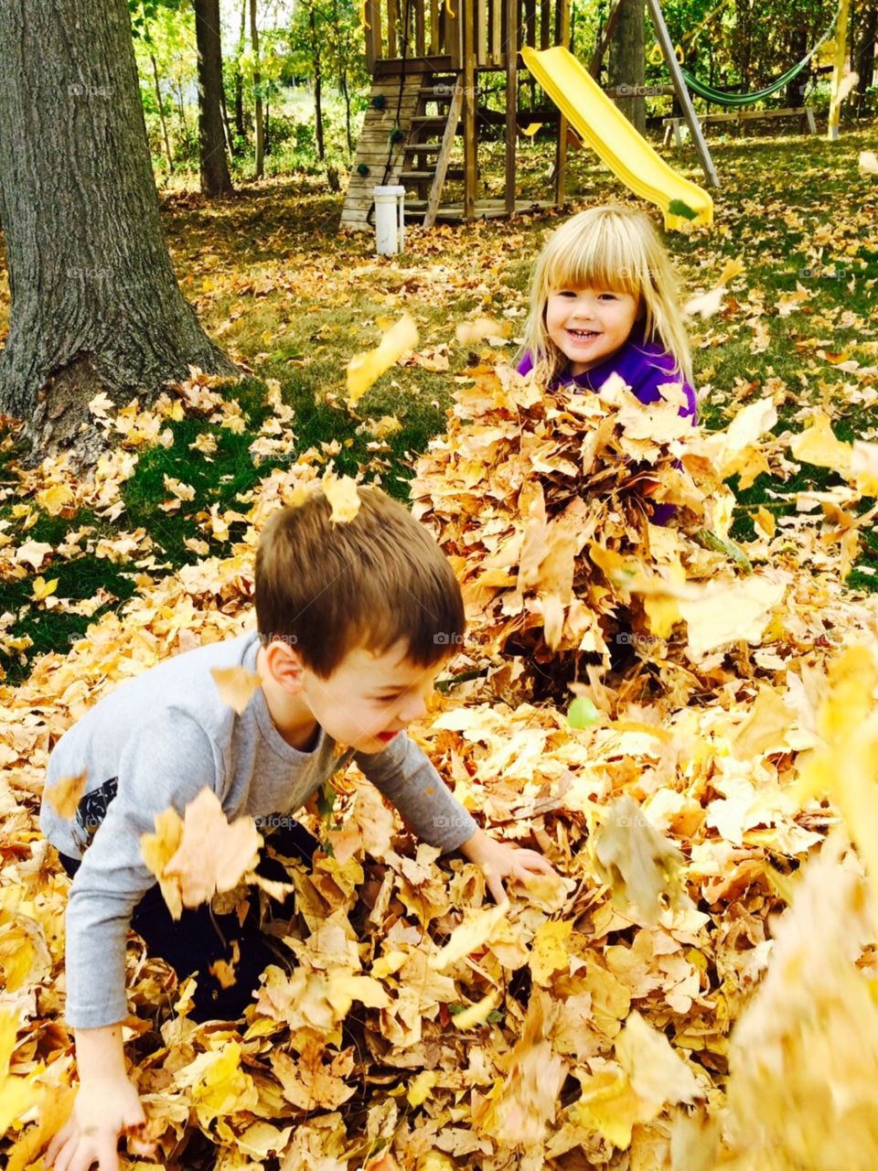 Kids playing in fall leaves 