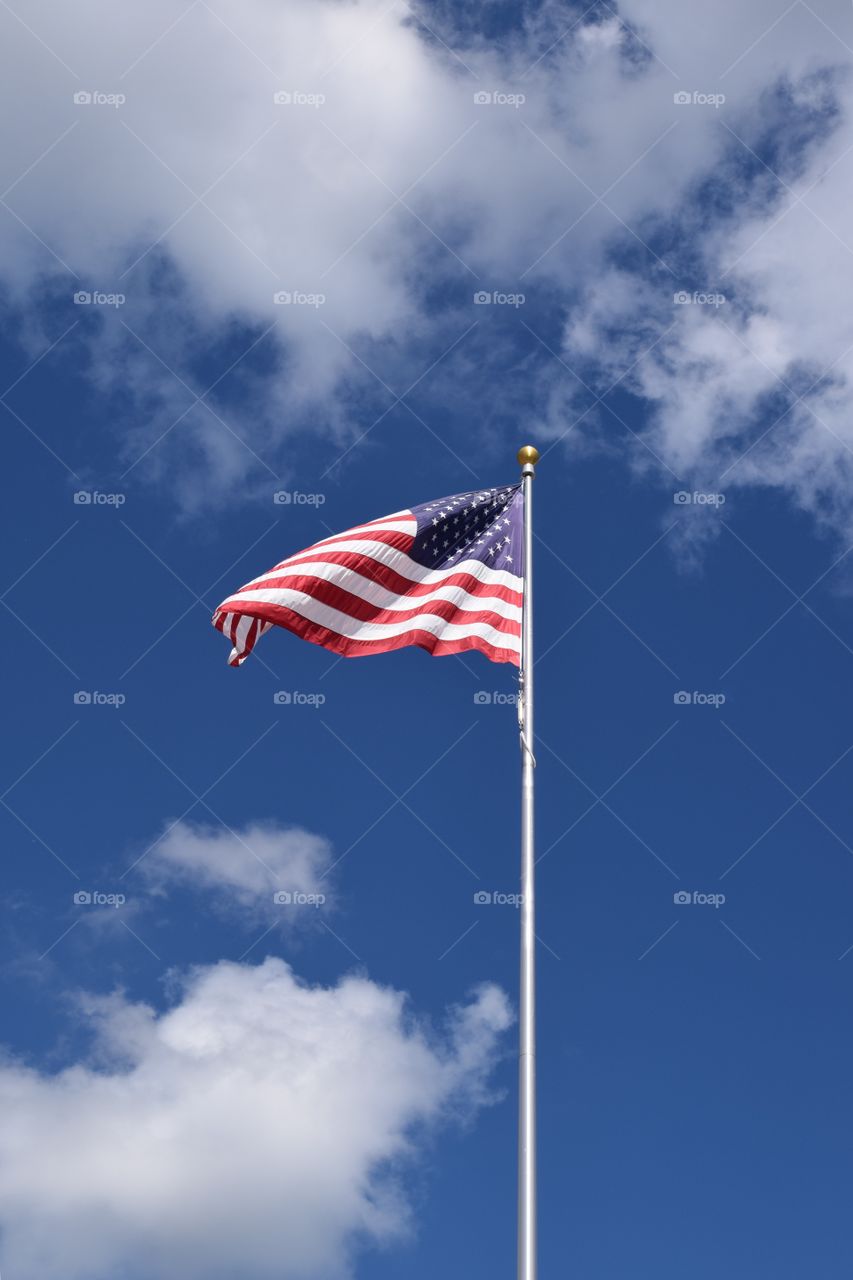 Flag of the united states of america