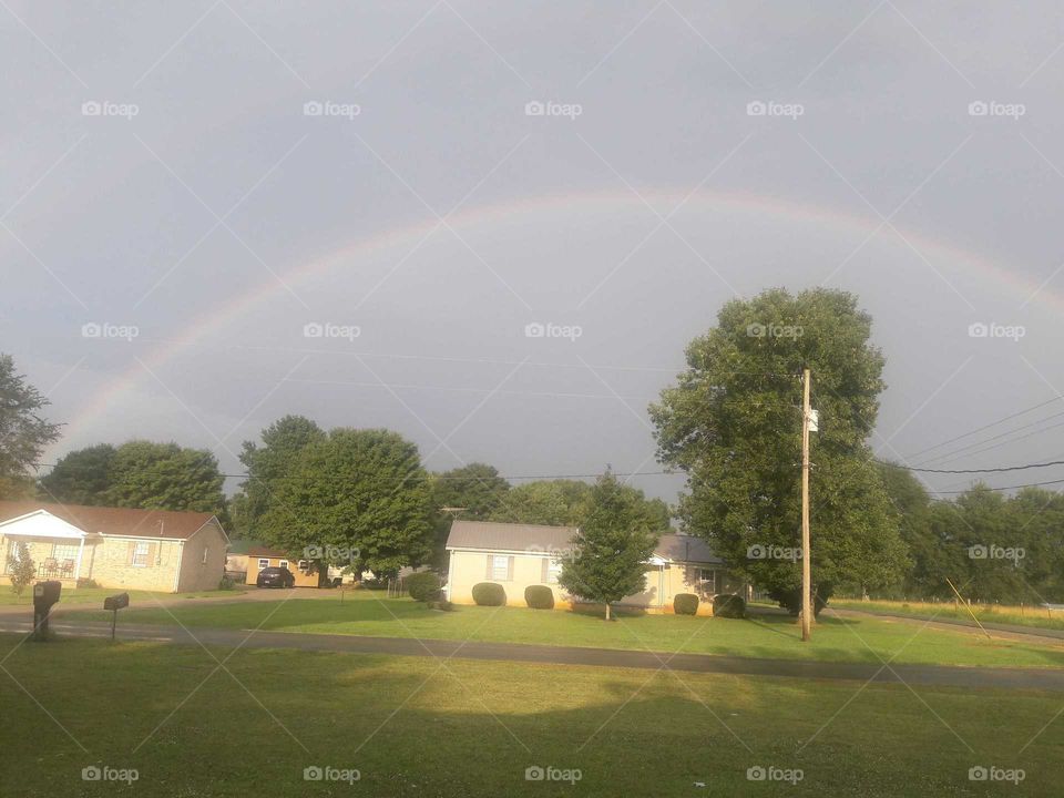 Tennessee Rainbow
