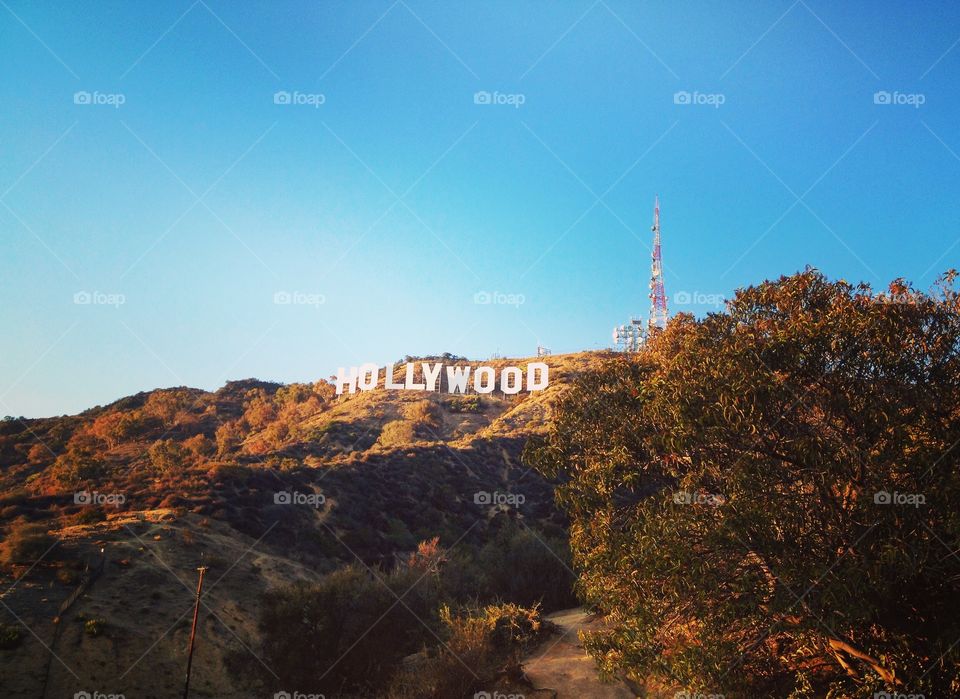 Hollywood Sign