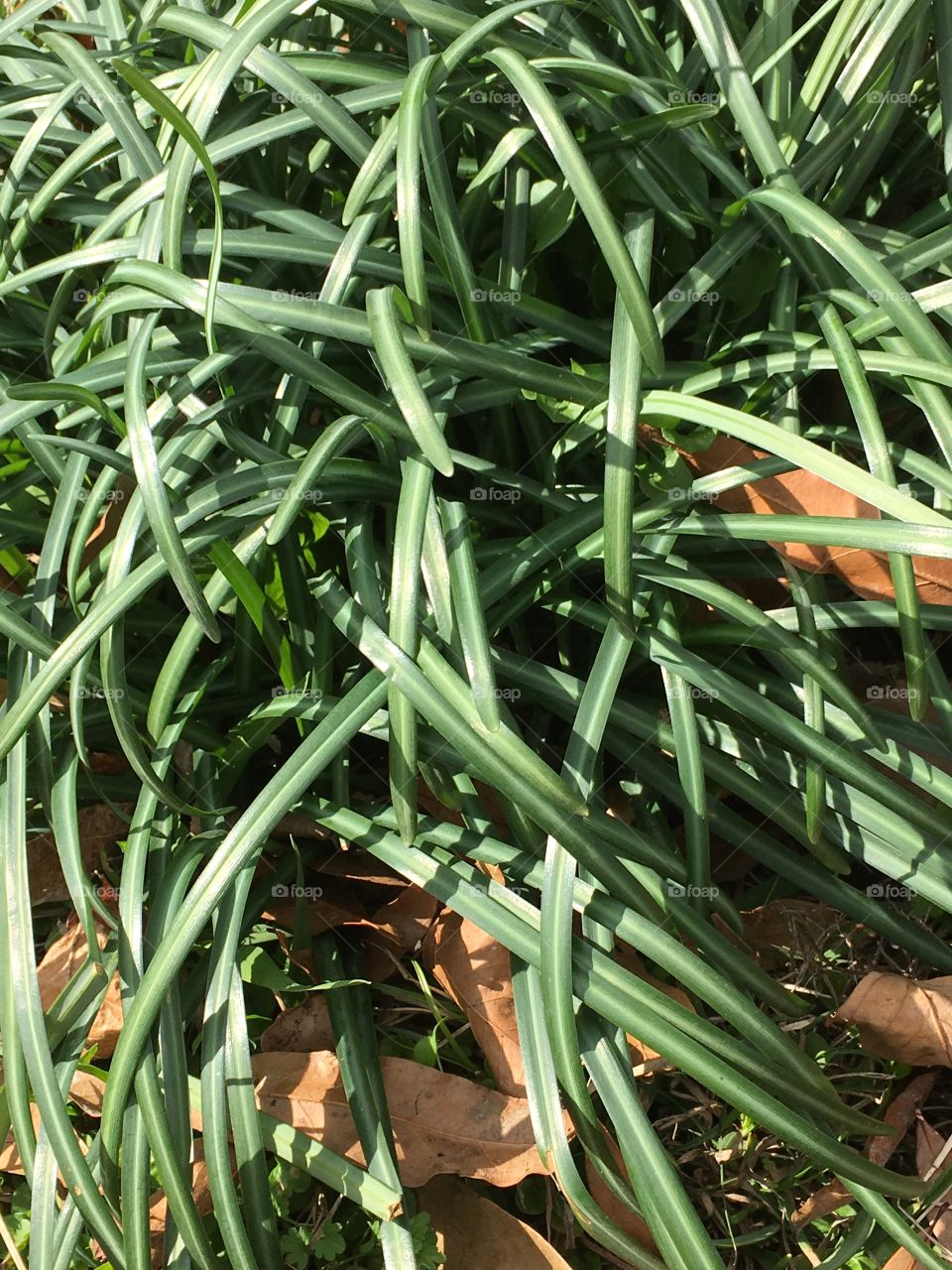 Love spring when ever it gets here