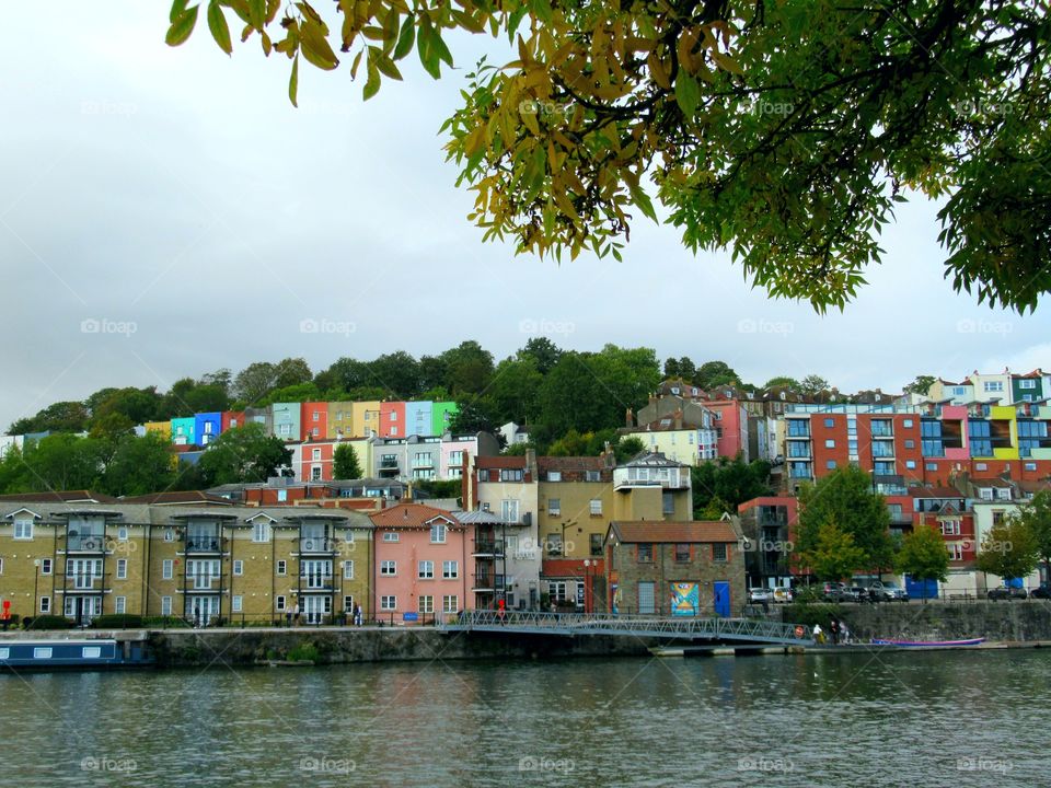 Tree with autumn yellow colours and bright coloured buildings in background