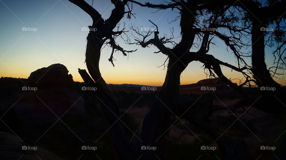 Sunset and silhouettes in the desert