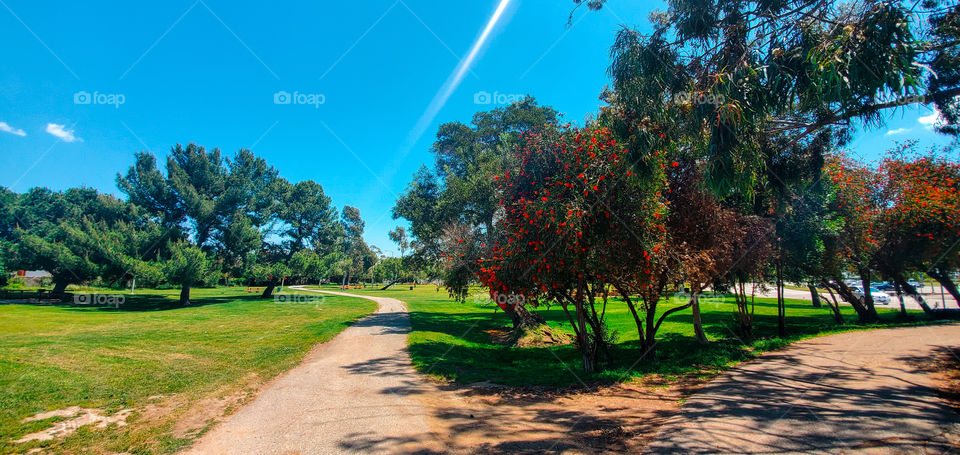 Victoria Park walkway sunlight