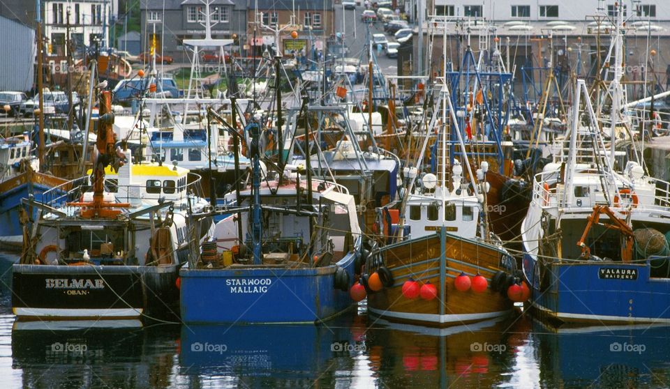 Scotland. Harbour