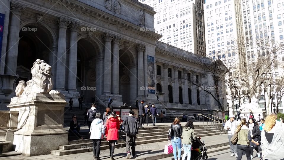 New York Public Library main branch