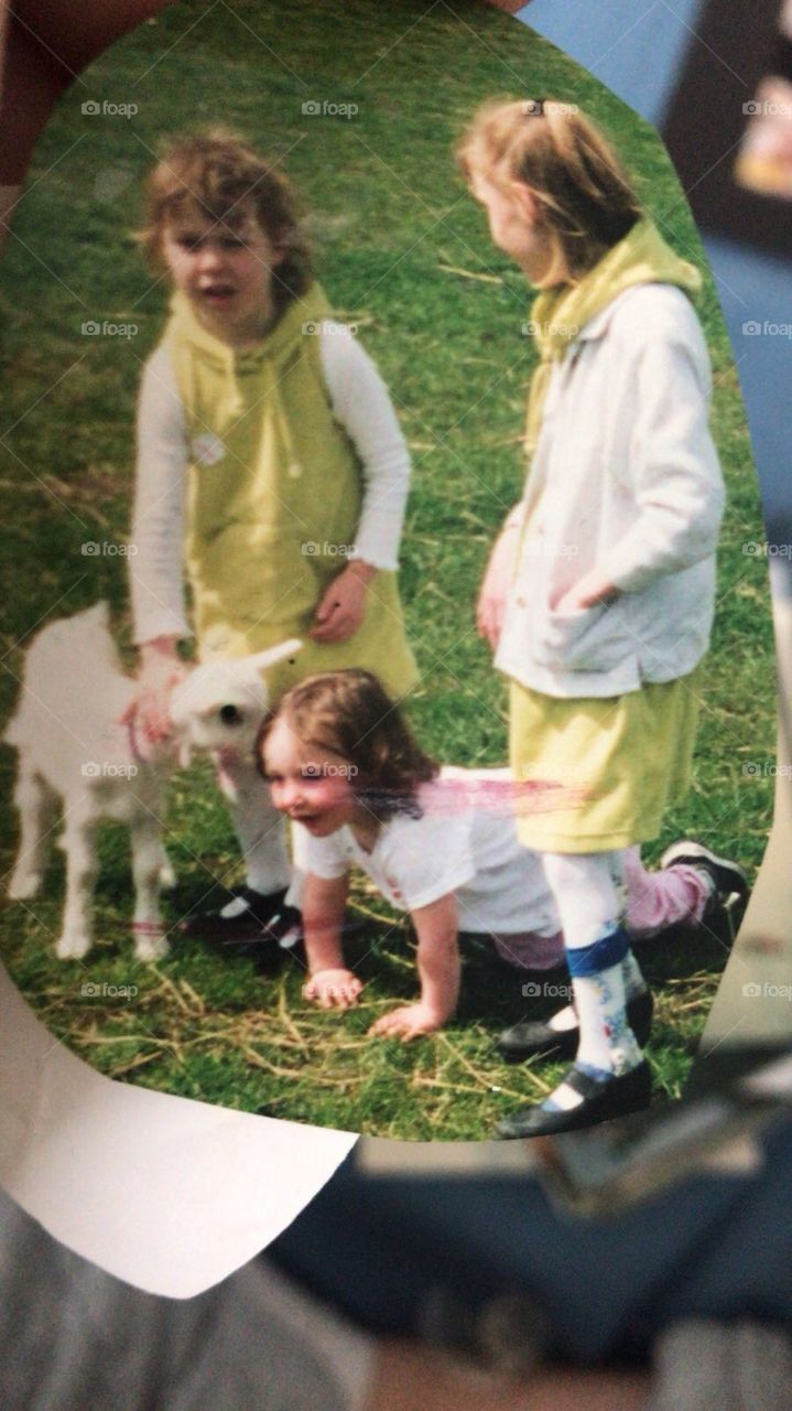 Sunshine sisters day in with the lambs 2000,s