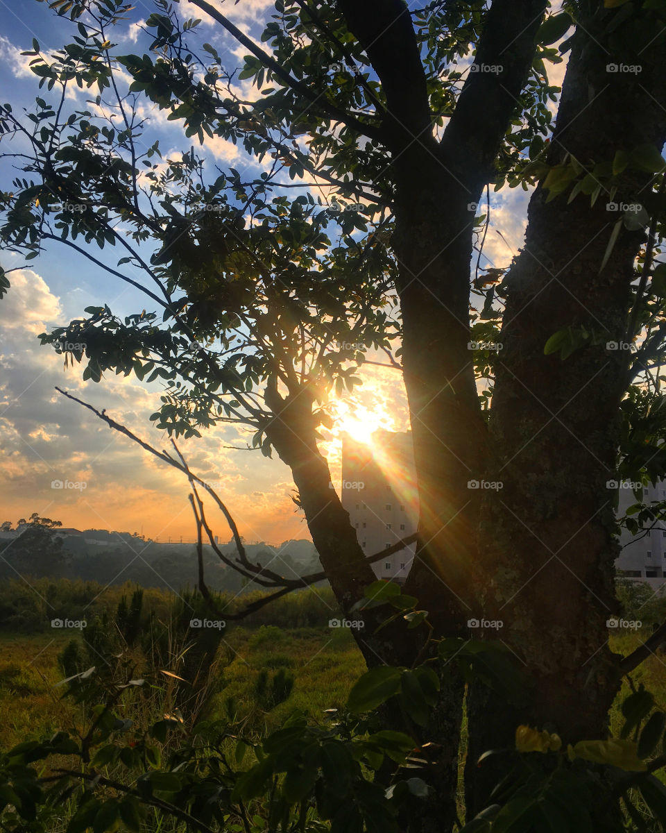 Amanhecer muito bonito no interior do Brasil. O sol nos inspira para que tenhamos uma ótima 6a feira!