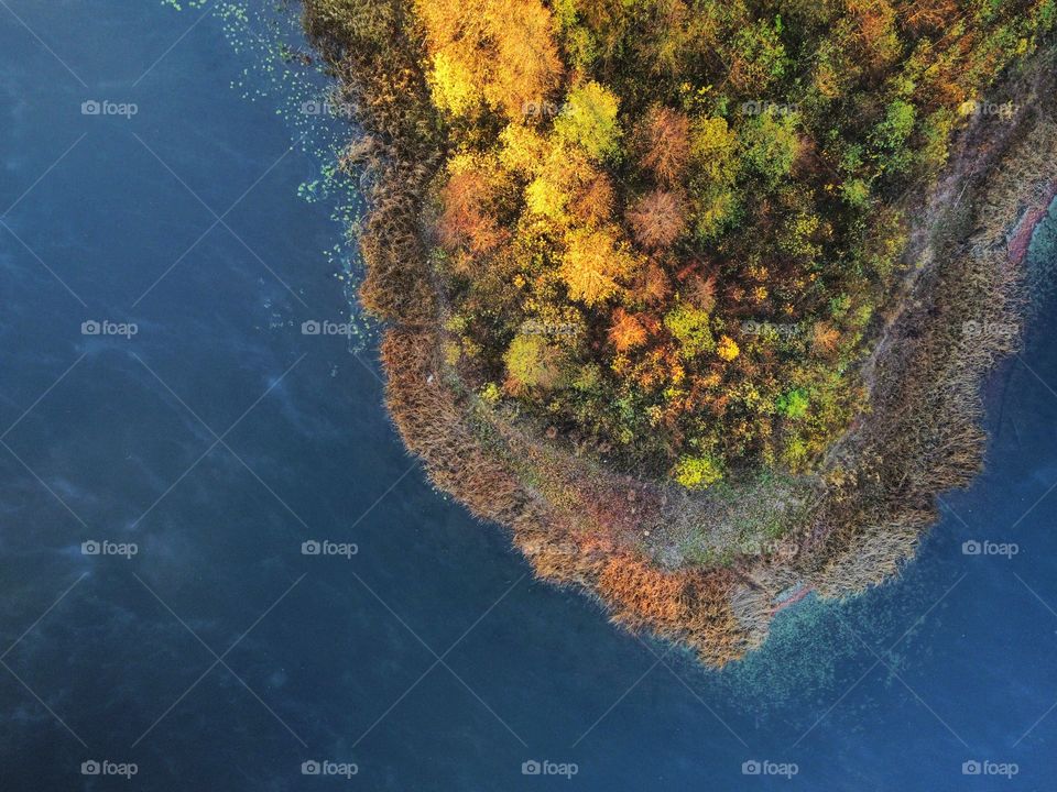 Autumn forest on an island - drone shot