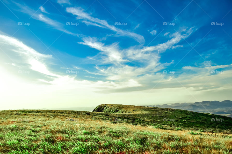 Sunlight on grassy land