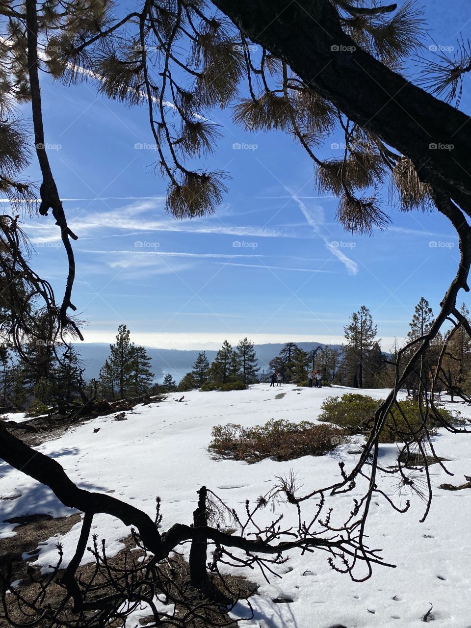 Winter at Shaver Lake