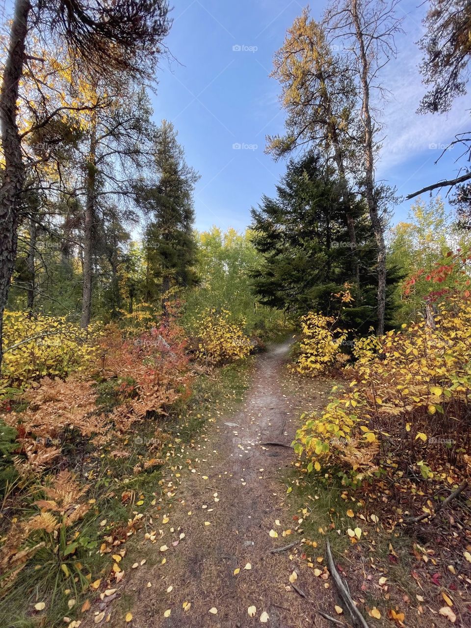 Autumn hike