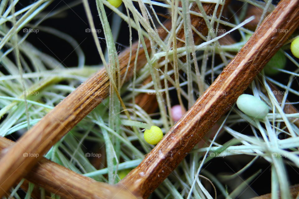 macro decorations fibers