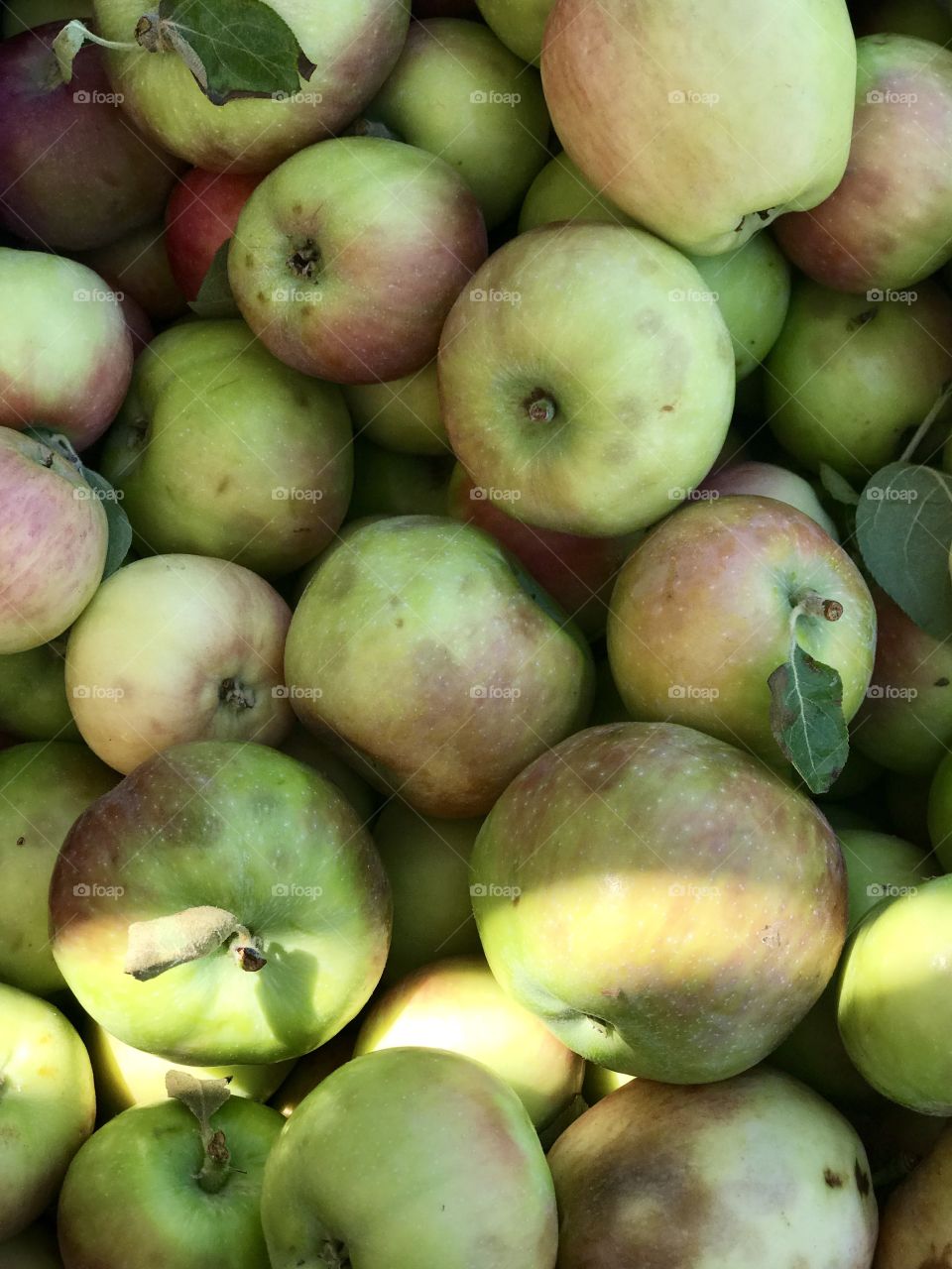 many green apples are in one place