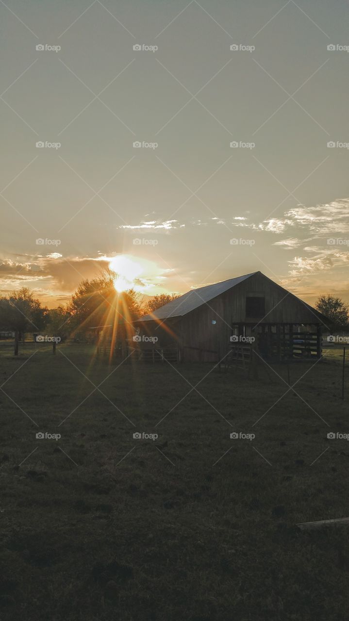sunrise on the farm