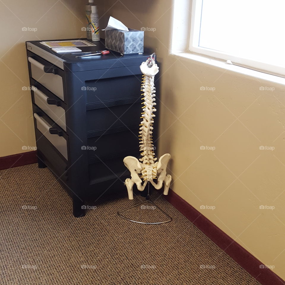 chiropractor visit