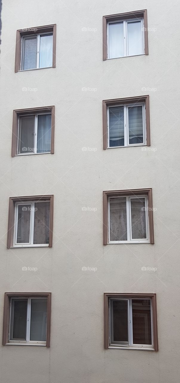 windows