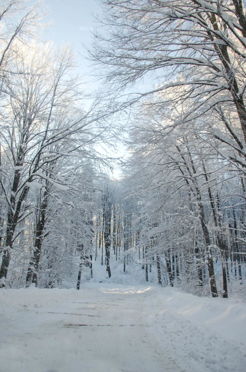 Vacation Series, Winter Road Trip, Bulgaria