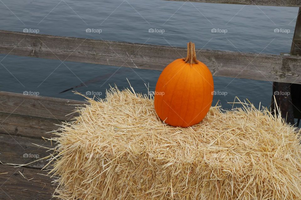 Pumpkin on a haystack 