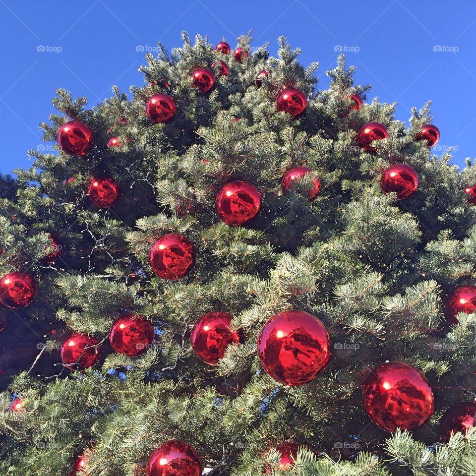 X-mass tree with red balls