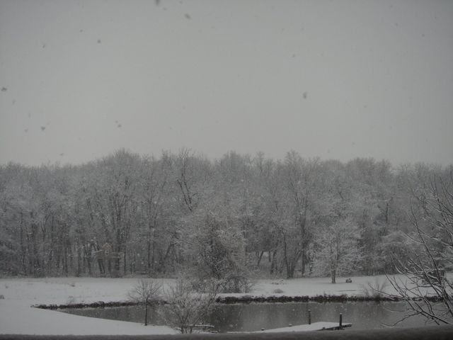 winter view