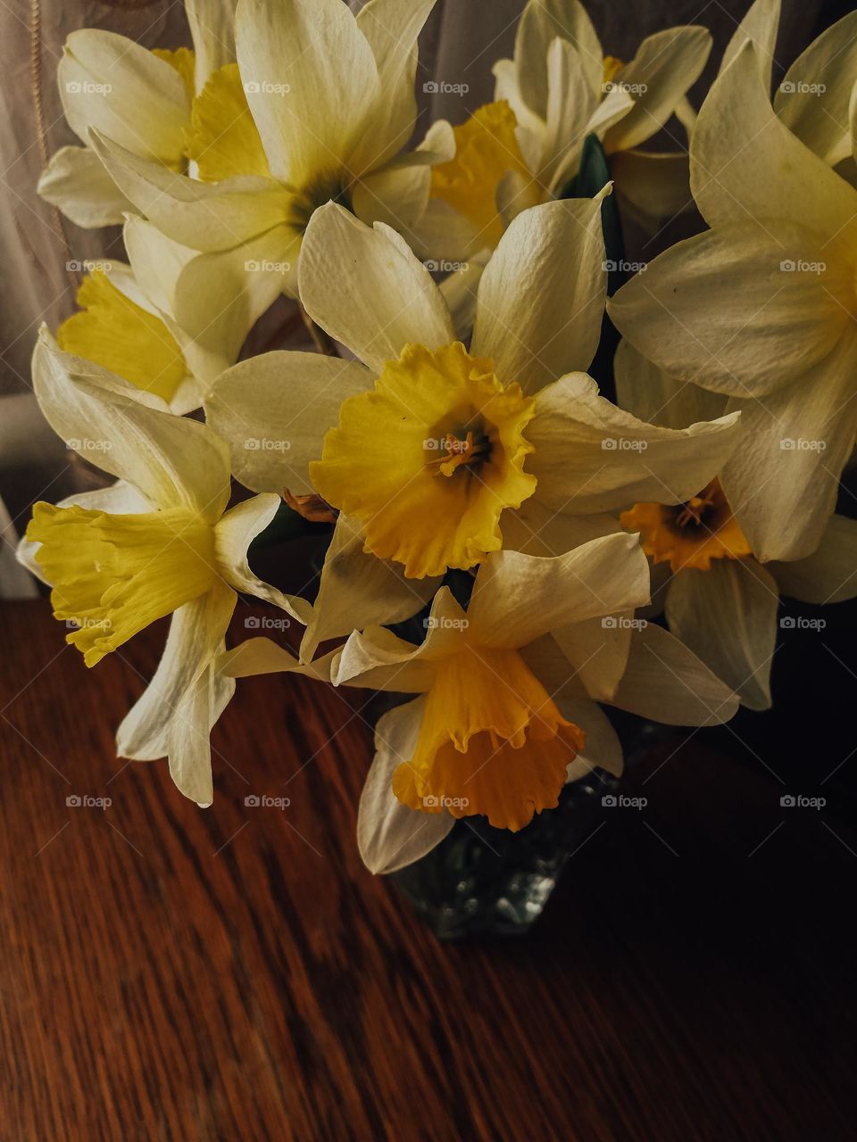 Yellow flower in the song