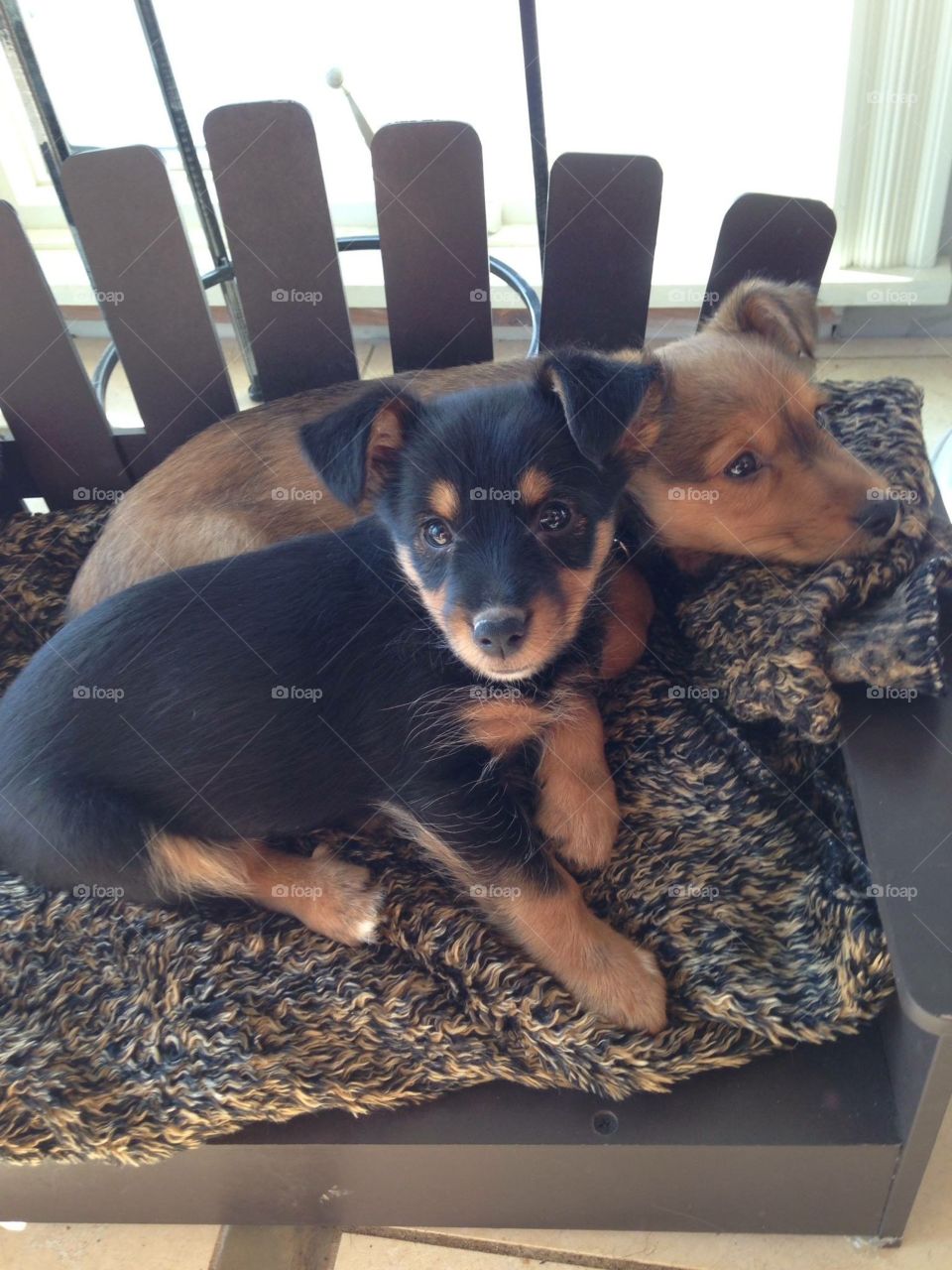 Everything’s better with friends