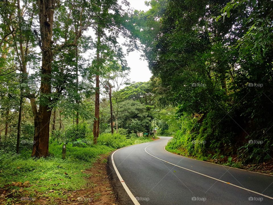 Trip through the forest.