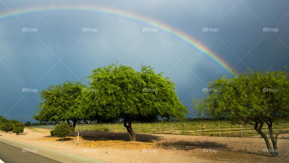 Monsoon rainbow 