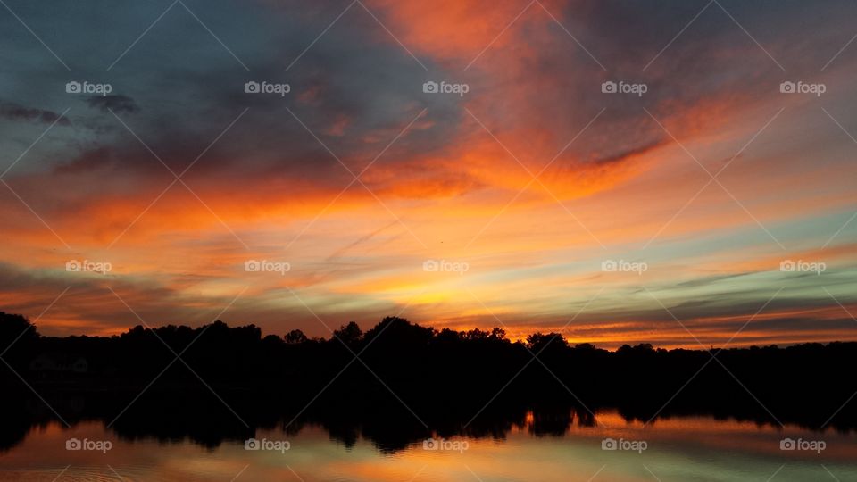 Silhouette of trees reflection on lake