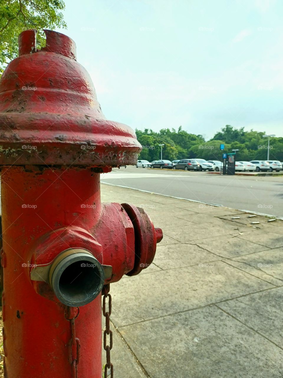Red fire hydrant on the pavement.