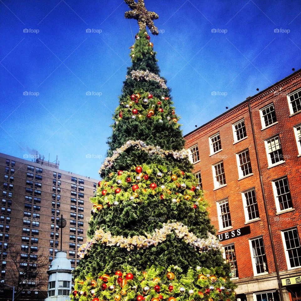 Ohhhh Christmas tree 🎄🌟