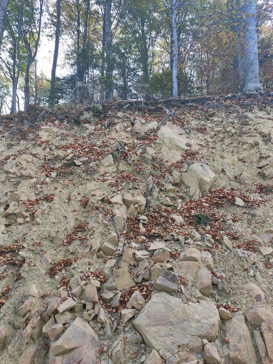 Mountain Rudnik Serbia geological formations in ground autumn