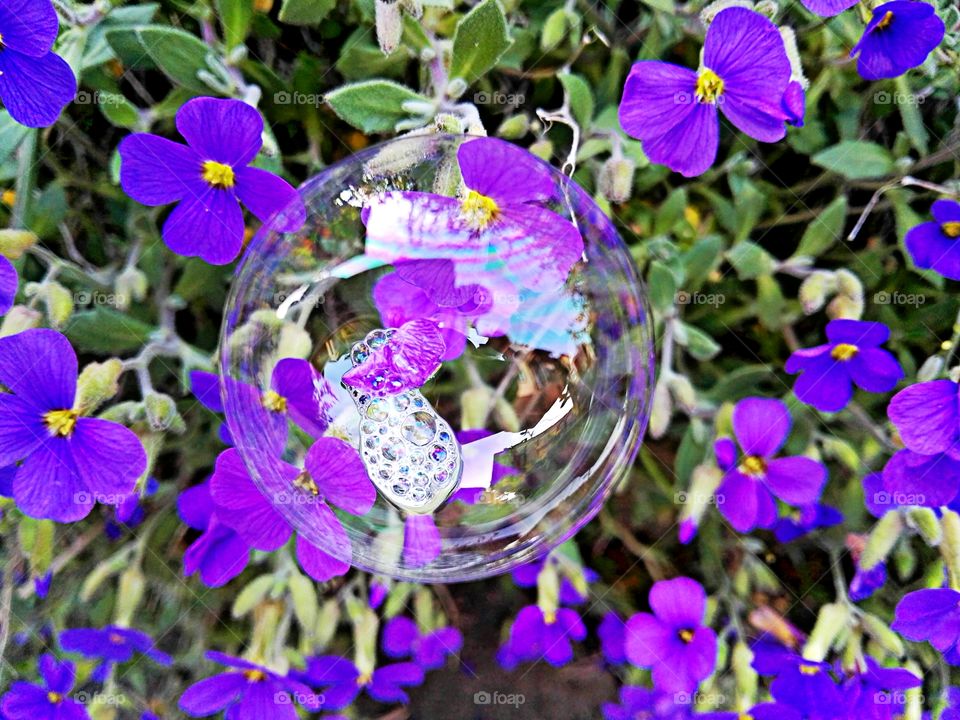 bubble in purple flowers