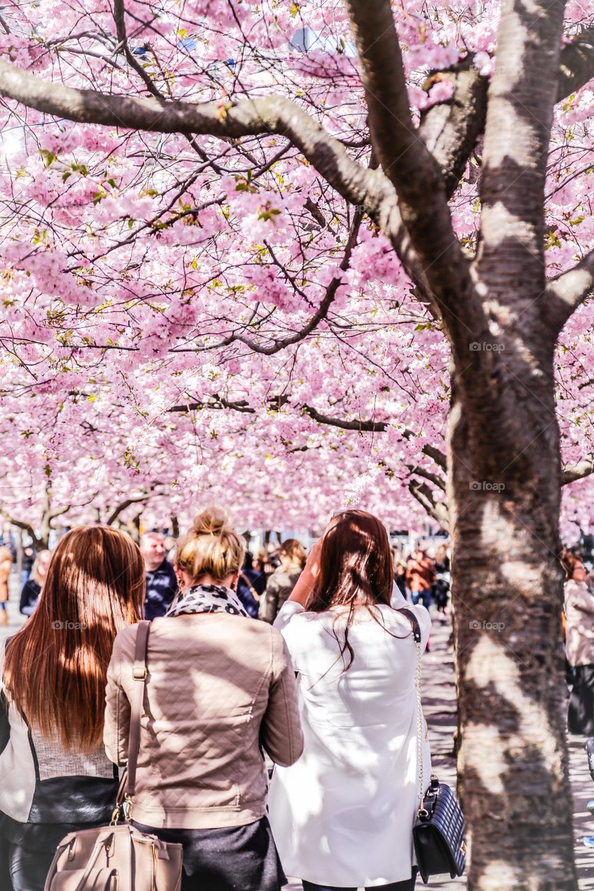 Mission. People enjoying spring