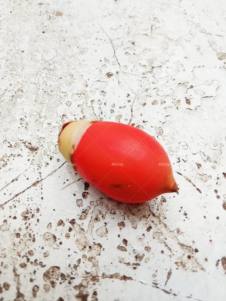 Red areca nut