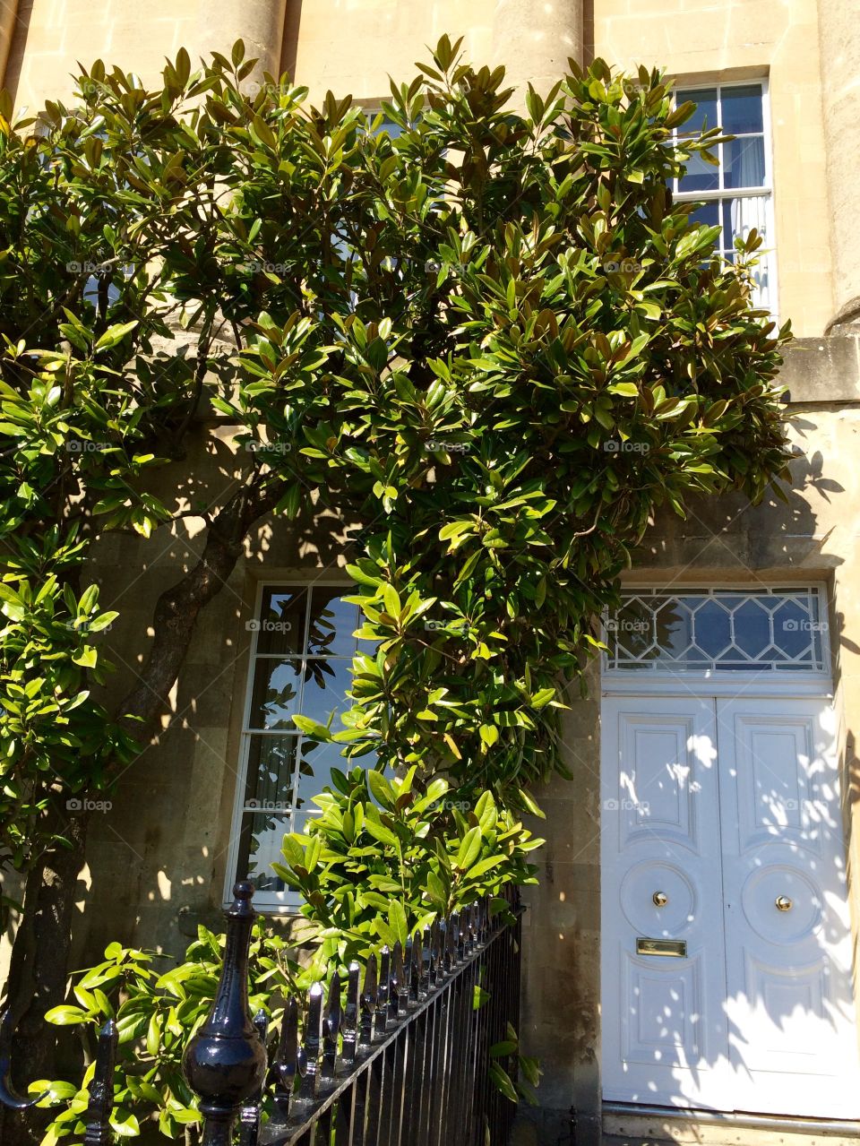 Georgian Door