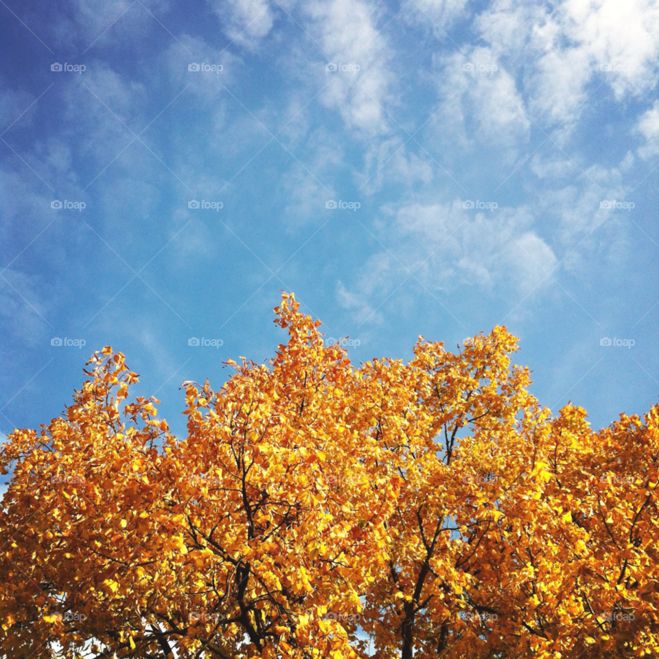sky yellow blue orange by bumbiru
